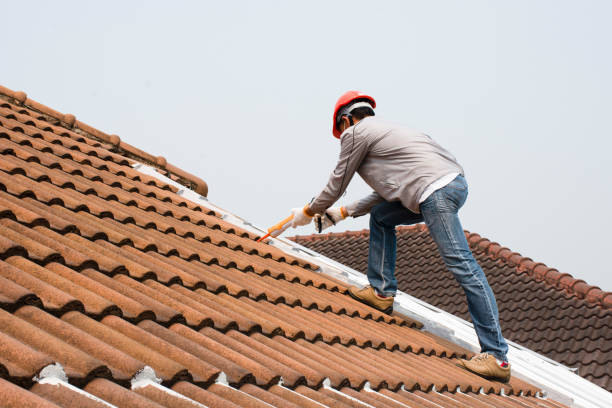 Best Skylights  in Henderson, NC